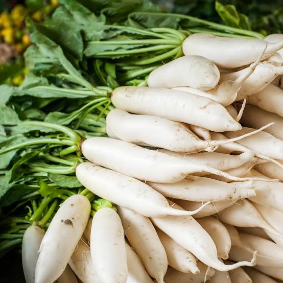 मूली (White Radish)
