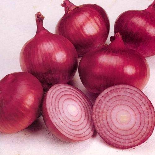 प्याज़ (Onion)